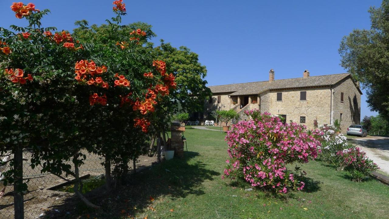 Agriturismo Podere Luchiano 아멜리아 외부 사진