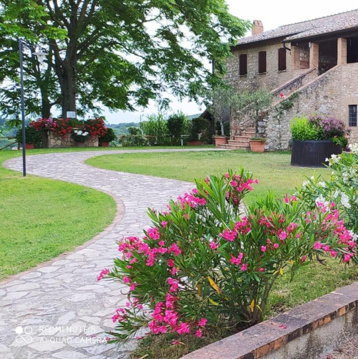 Agriturismo Podere Luchiano 아멜리아 외부 사진