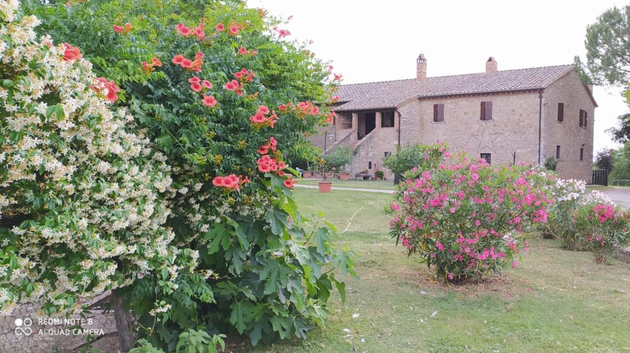 Agriturismo Podere Luchiano 아멜리아 외부 사진