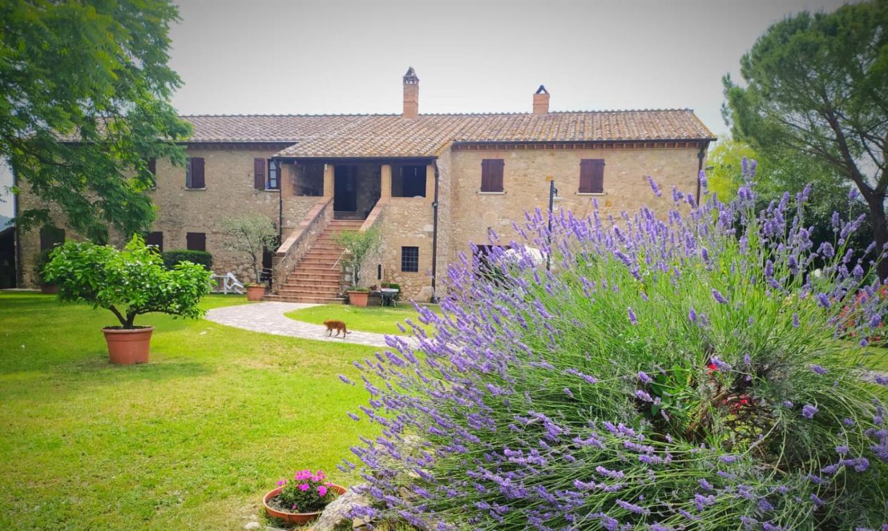 Agriturismo Podere Luchiano 아멜리아 외부 사진