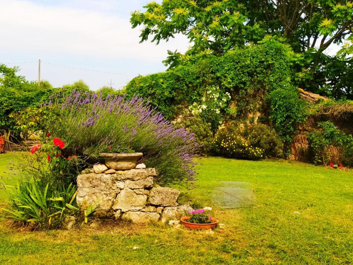 Agriturismo Podere Luchiano 아멜리아 외부 사진