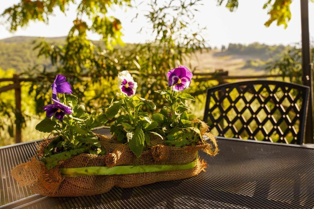 Agriturismo Podere Luchiano 아멜리아 외부 사진