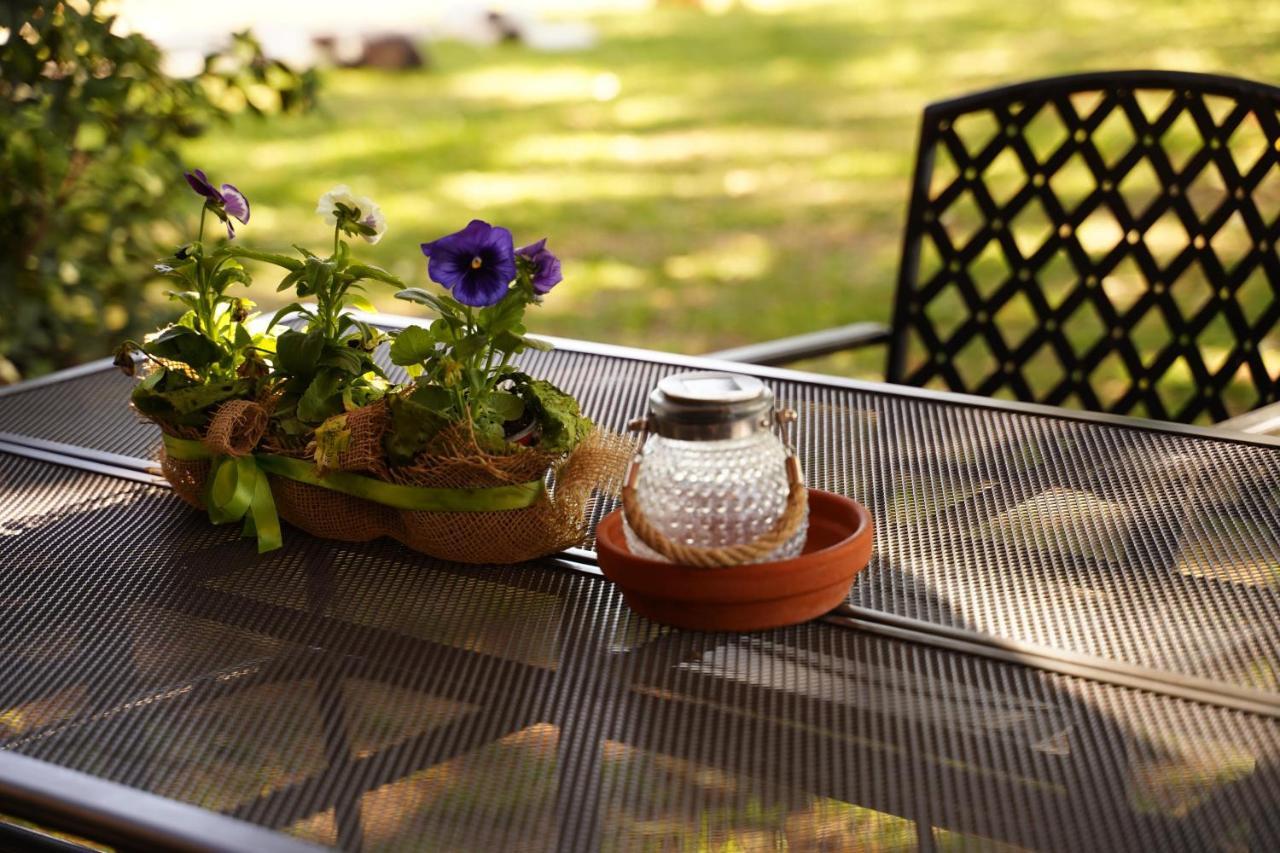 Agriturismo Podere Luchiano 아멜리아 외부 사진