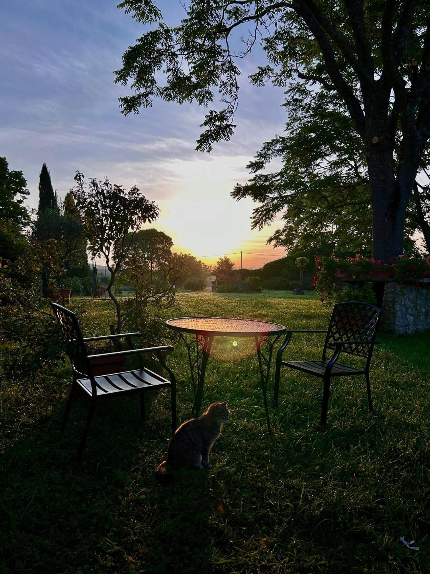 Agriturismo Podere Luchiano 아멜리아 외부 사진