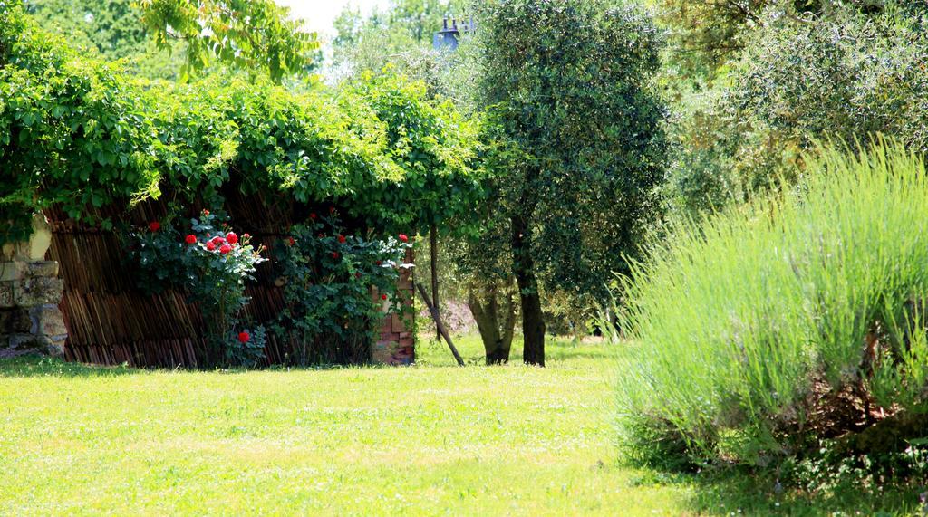 Agriturismo Podere Luchiano 아멜리아 외부 사진