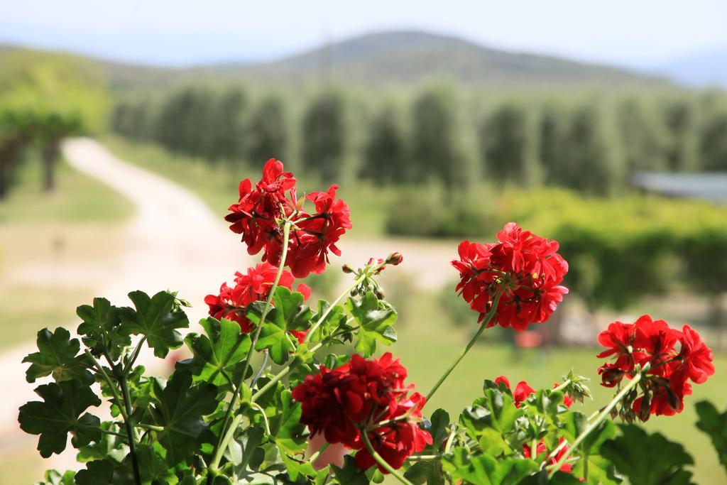 Agriturismo Podere Luchiano 아멜리아 외부 사진
