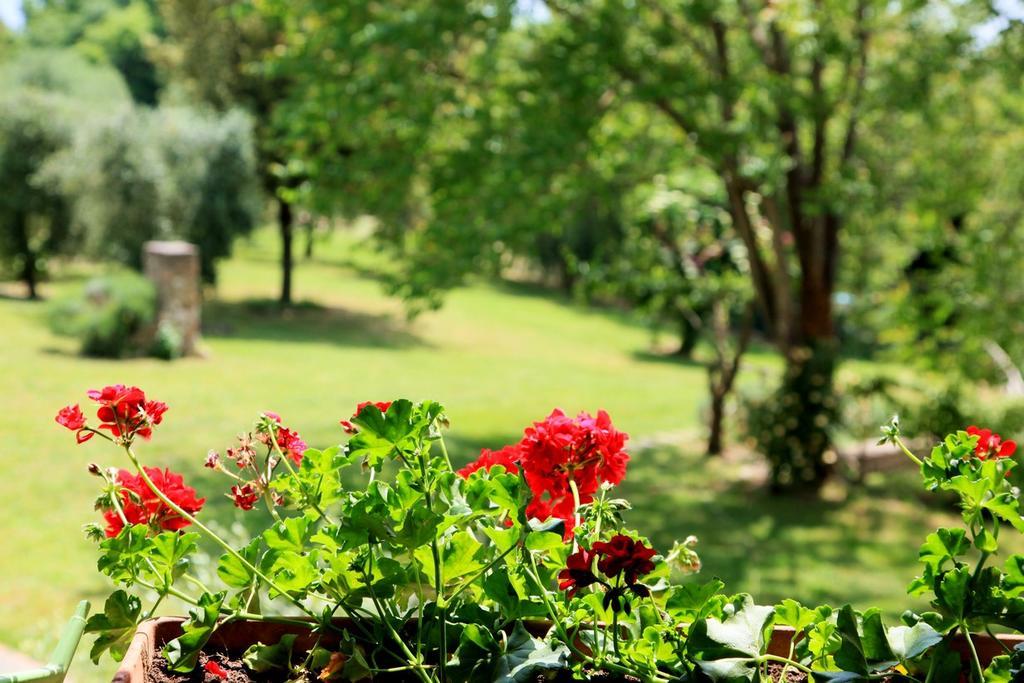 Agriturismo Podere Luchiano 아멜리아 외부 사진