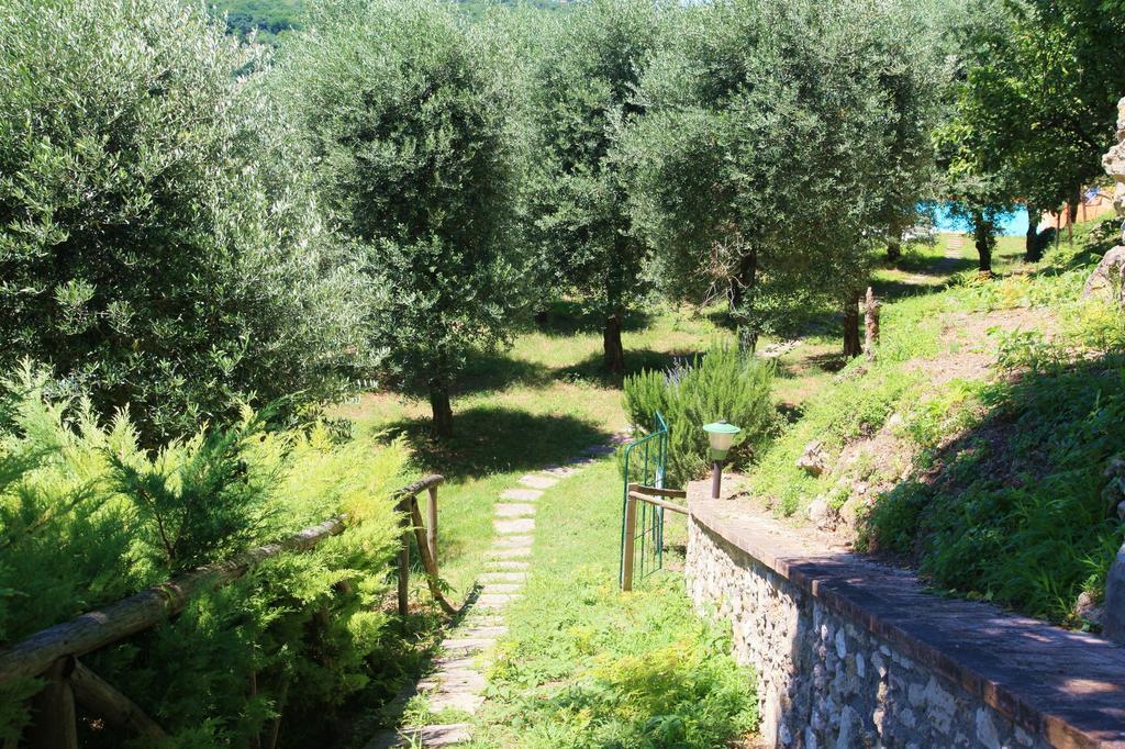 Agriturismo Podere Luchiano 아멜리아 외부 사진