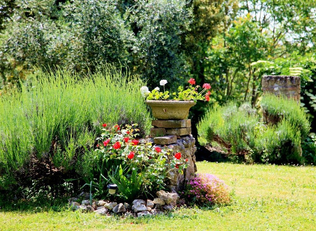 Agriturismo Podere Luchiano 아멜리아 외부 사진