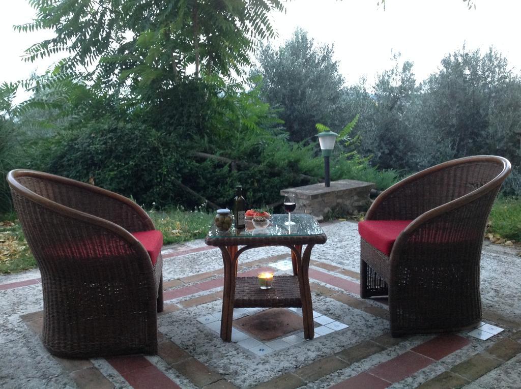 Agriturismo Podere Luchiano 아멜리아 외부 사진