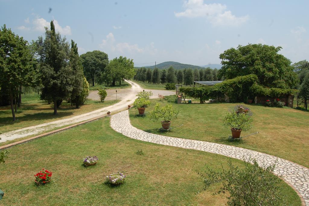Agriturismo Podere Luchiano 아멜리아 외부 사진