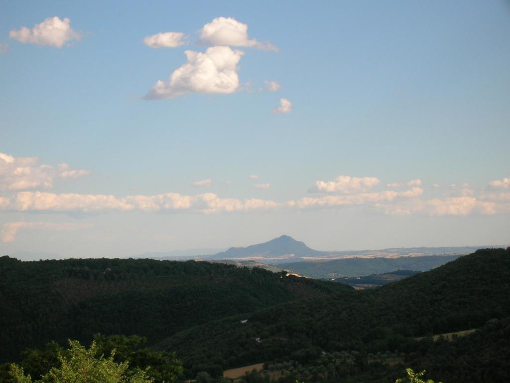 Agriturismo Podere Luchiano 아멜리아 외부 사진