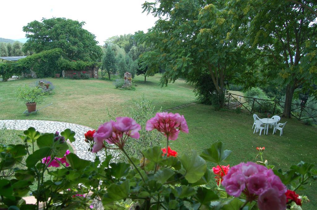 Agriturismo Podere Luchiano 아멜리아 외부 사진