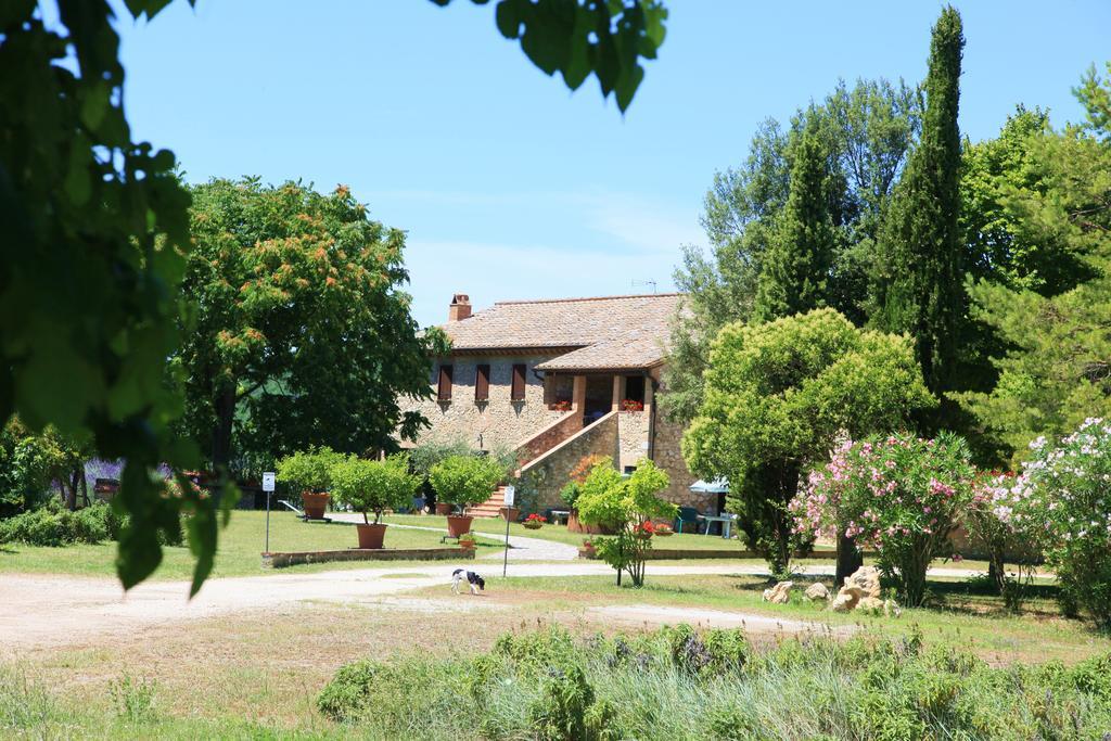 Agriturismo Podere Luchiano 아멜리아 외부 사진