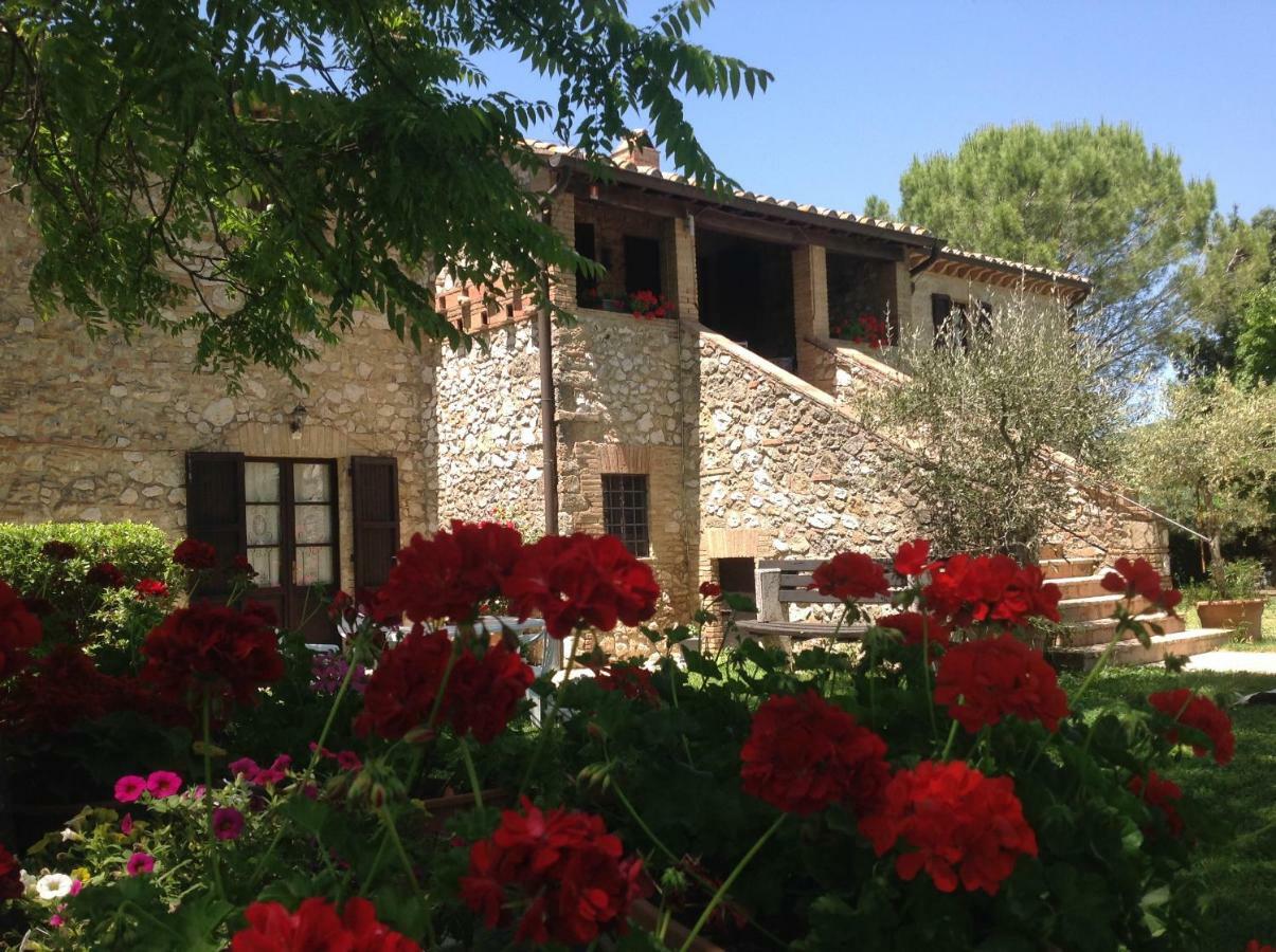 Agriturismo Podere Luchiano 아멜리아 외부 사진