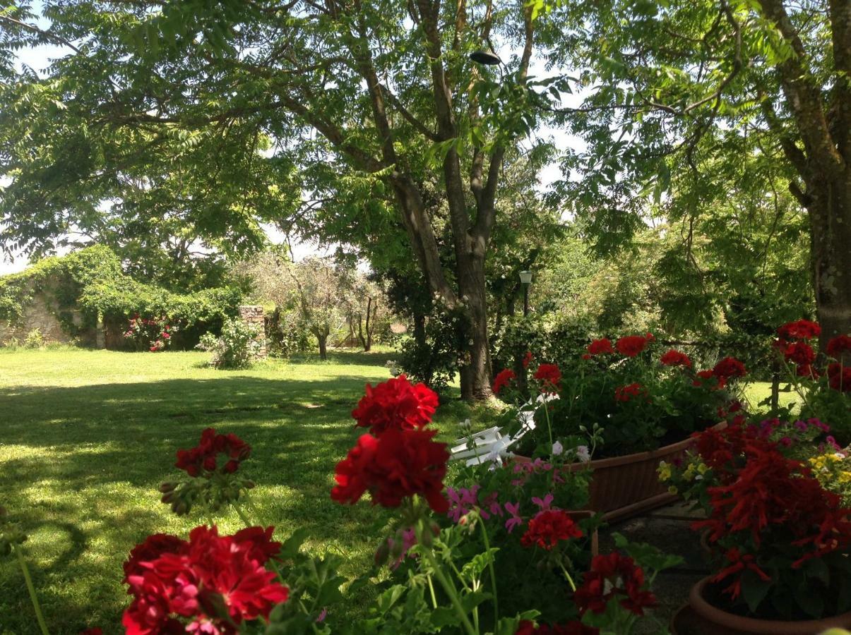 Agriturismo Podere Luchiano 아멜리아 외부 사진